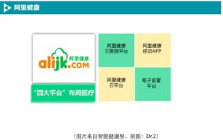 BAT如何布局移動醫療數據處理服務 戰略、技術與未來展望