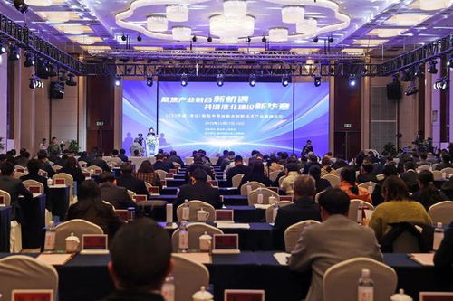 2023中國淮北新型半導體融合創(chuàng)新技術產業(yè)高峰論壇暨翌光科技淮北項目點亮儀式 光電科技開發(fā)的新篇章